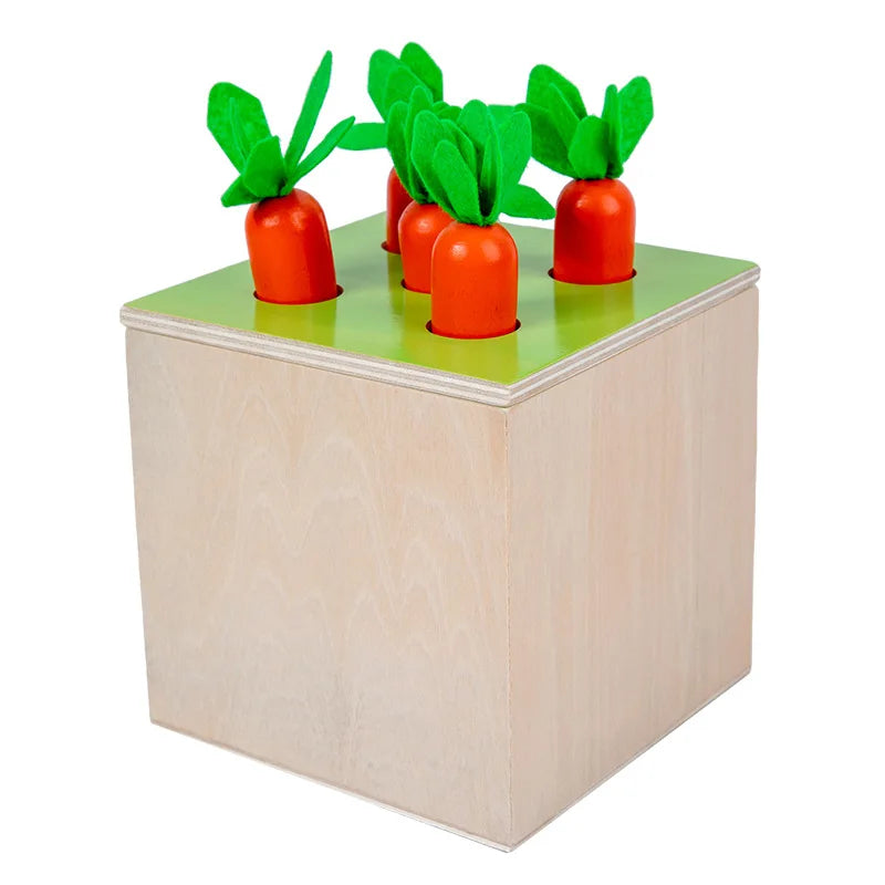 Montessori Educational Toys 4 In 1 Box Infant Toddler Matching Inserting Game Hand-Eye Coordination Fine Motor Skill Practice