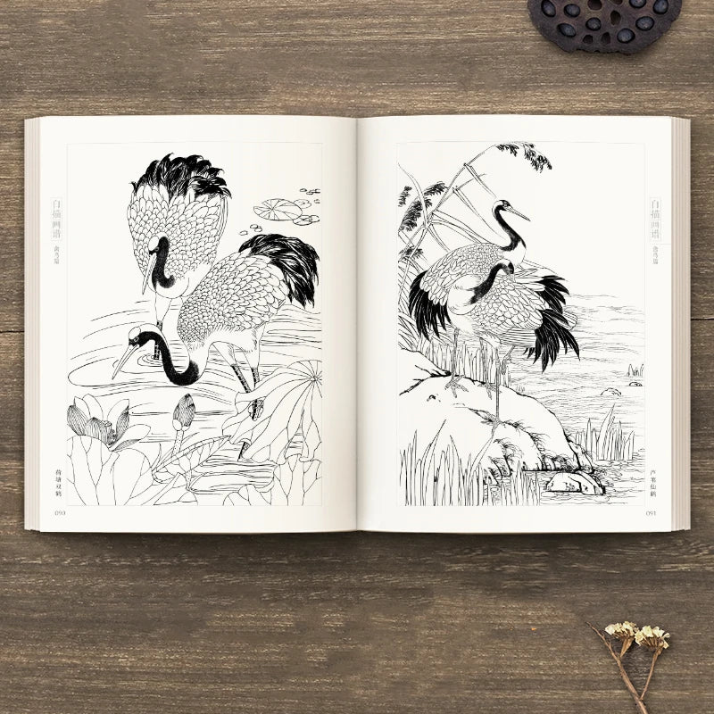 Line Drawing Painting Book Flowers Birds Animals Chinese Meticulous Painting Technique Book Vegetable Fruit Drawing Copying Book