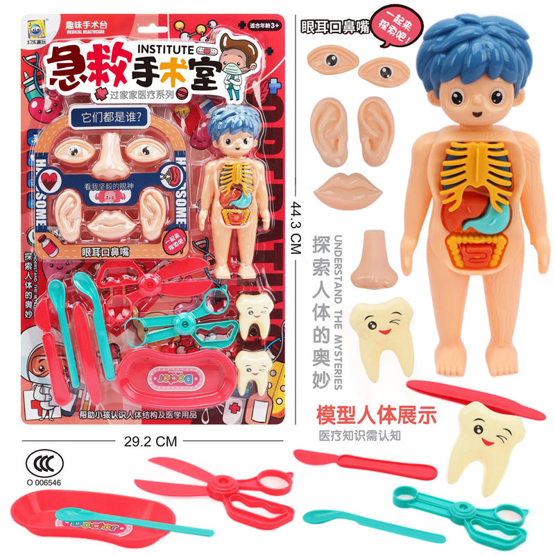 Free shipping children play house hanging board medical tools parent-child interactive organ cognition human body…